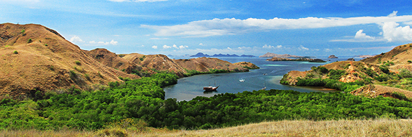 Loh Buaya & Rinca panorama from up the hill..